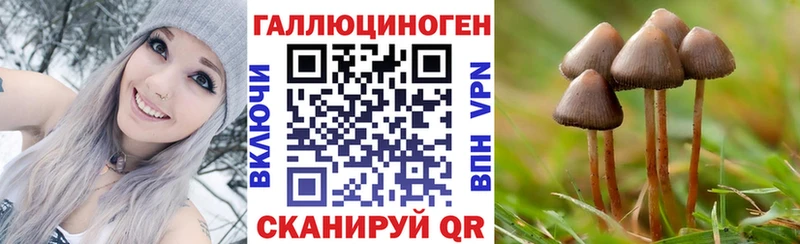Галлюциногенные грибы мухоморы  Купить закладки  Лесозаводск 